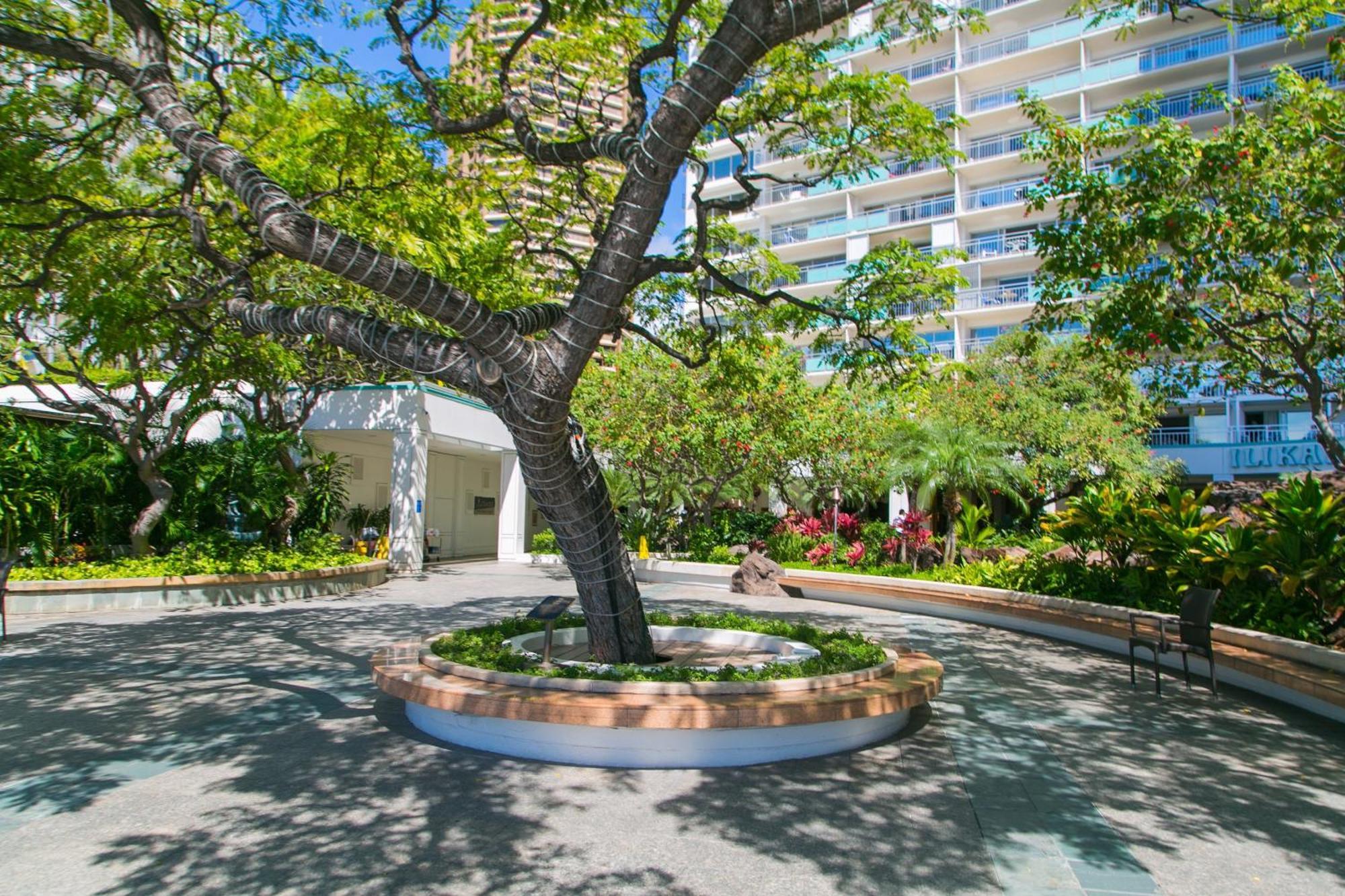 Ilikai Tower 2109 City View 2Br Гонолулу Экстерьер фото